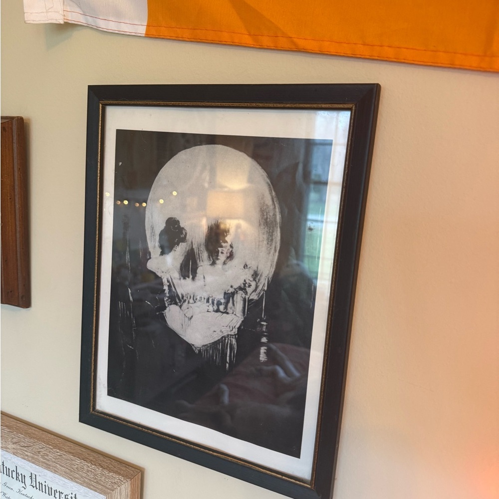 Framed Black and White Skull Illusion Art